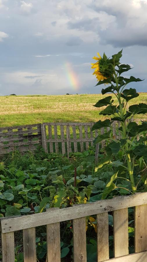 Camping La Petite Houmee Curzay-sur-Vonne 外观 照片